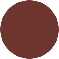 Perfect Color Lipstick Tester