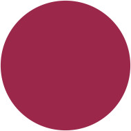Perfect Color Lipstick Tester