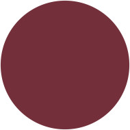 Perfect Color Lipstick Tester