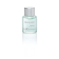 Hydration Concentrate 10 x 5 ml Kabine