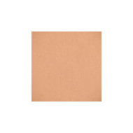 Silk Touch Compact Powder Refill