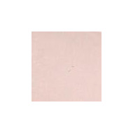 Camouflage Fixing Powder loose 15 g