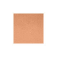 Skin Fusion Cream Foundation Tester