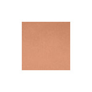 Skin Fusion Cream Foundation Tester