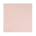 Camouflage Fixing Powder loose 15 g  Tester