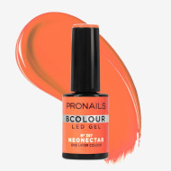 BColour LED Gel 10 ml