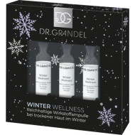 Winter Wellness Ampullen 3 x 3 ml