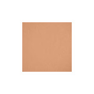High Protect Sun Powder SPF50